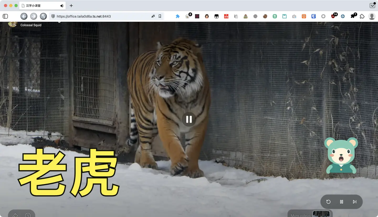 卡通AI智能体配合老虎视频,教孩子认识汉字“老虎”